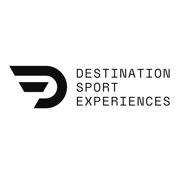 DS-logos-dse new